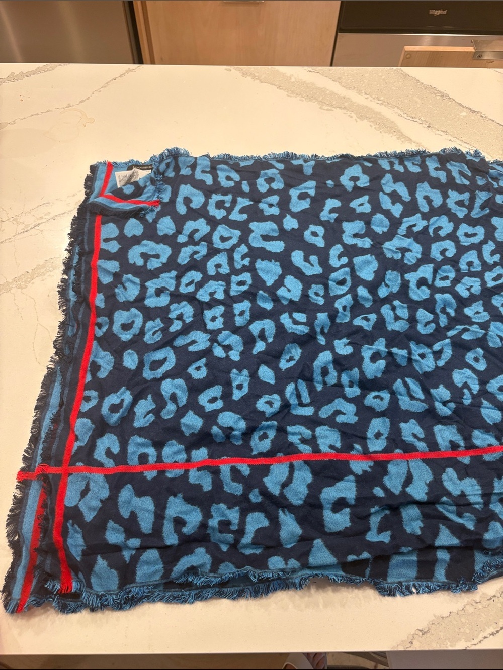 Banana Republic Blue Leopard-Print Scarf with Red Stripes